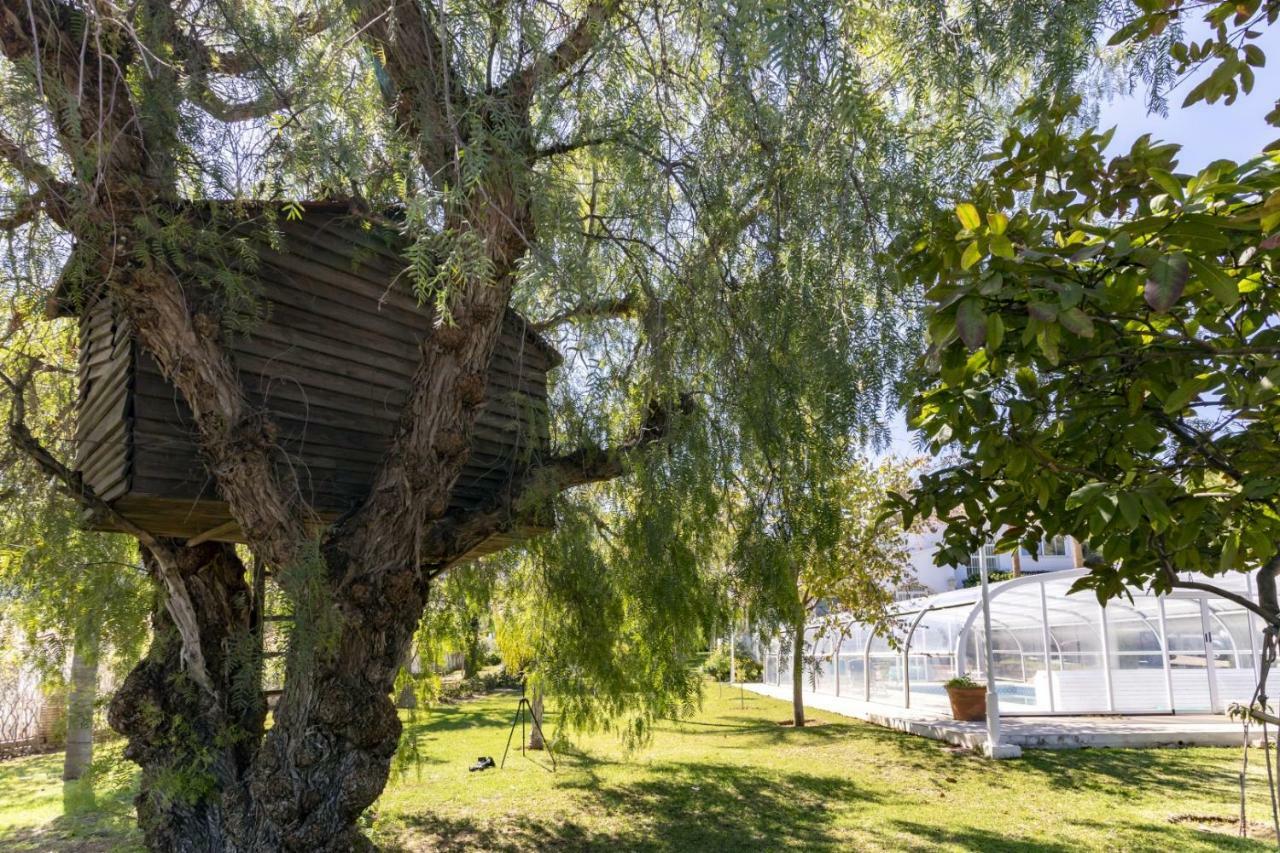 Villa Tocororo En Pinos De Alhaurin Alhaurín de la Torre Buitenkant foto